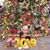 Kristina Marie Knapp's profile image