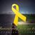 Terry Fern's profile image