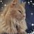Lv StargazingAwe's profile image