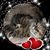 Cindi Martin Hettlinger's profile image