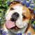 KaryJason Helmer's profile image
