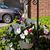 Mary Lou Yost Rahde's profile image