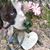 Tabitha Freeman's profile image