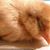 Lynn Hickcox's profile image
