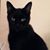 Patricia Hayes's profile image