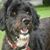 Philippe Gresle's profile image