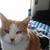 Roben Hinman's profile image
