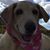 Annette Thomas's profile image