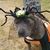 Claudia Cunningham's profile image