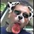 Joe DeMaria's profile image