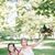 Lindsay Leigh Camille Sciarra's profile image