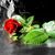 Linda Rabah's profile image