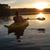 Debra Bresnahan Keenan's profile image