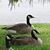 Patrice Boudreaux's profile image