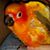 Peggy Brown's profile image