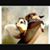 Ron Roach's profile image