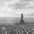 Candice Murphy's profile image