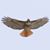 Nancy Blabe's profile image