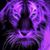 Kat Cook's profile image