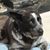 Kevin Wright's profile image