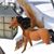Mary Liz Towne's profile image