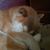 Christine L Gursky's profile image