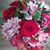 Arlene Boehringer's profile image