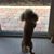 Diane Wool's profile image