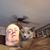 Joe E. McCarthy's profile image