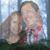 Raúl N Sandra Ruiz's profile image