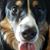 Kristall Moninger's profile image