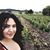 Marilyn Curincita's profile image