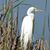 Kathleen M. Haskins's profile image