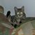 Peter Paul Contreras's profile image