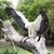 Pam Brock's profile image