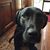 Buddy Budmeister's profile image