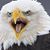 Michael Lamb's profile image