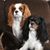 Joanna Magginnis's profile image