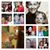 Troya Busby Parker's profile image