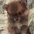 Prancy SB's profile image