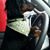Rich Brutt's profile image