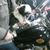 Sandra Duntley's profile image