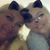 Barb Stern Eikenberry's profile image