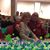 Joyce Fowler Phillips's profile image