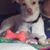 Cody James Westfall's profile image