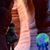 Debbie Bonilla's profile image