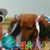 Karen Kolb's profile image