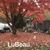 Polly Brekke's profile image