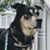 Tom Franklin's profile image