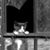 Deb Jensen's profile image